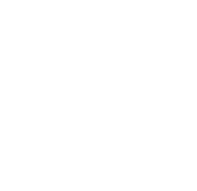 rever le monde logo