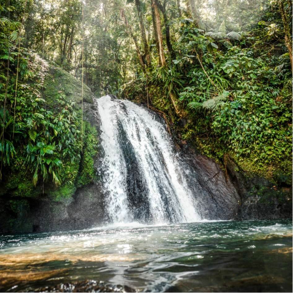 Cascade ecrevisses Guadeloupe