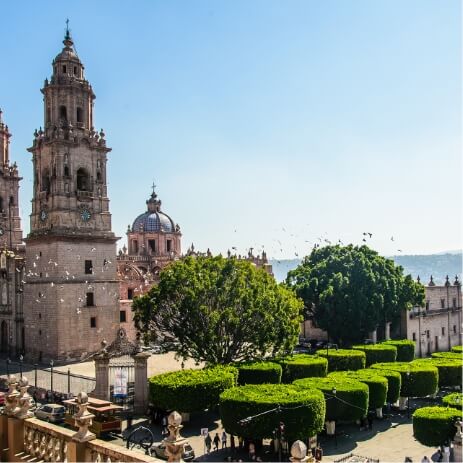 Morelia