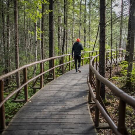 Abitibi-Témiscamingue