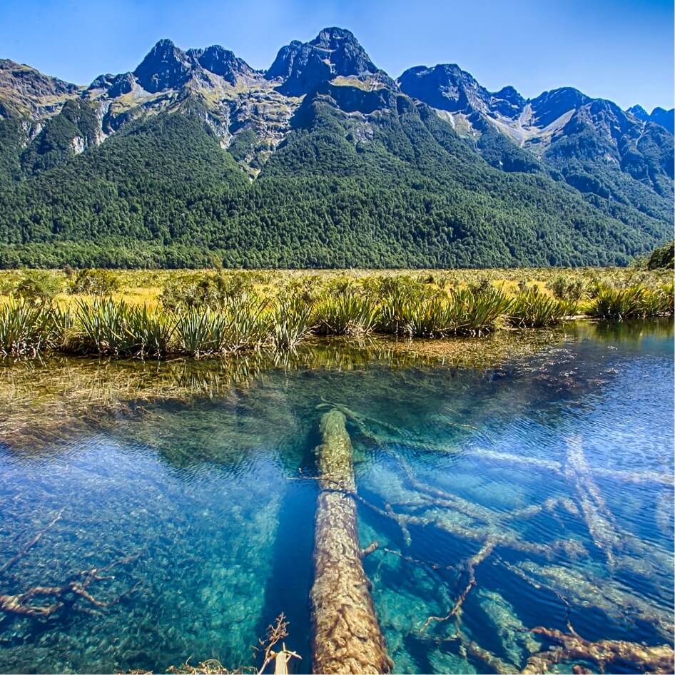 Nouvelle-Zélande