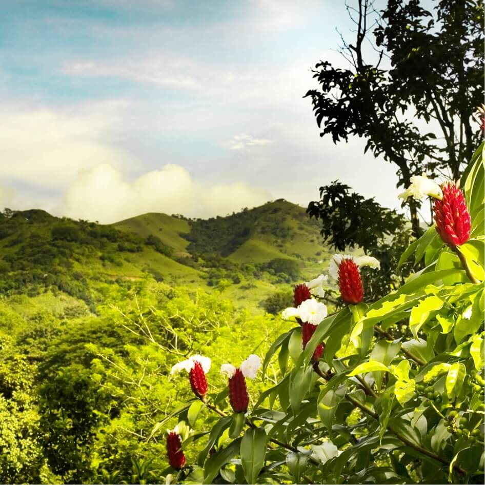 Costa Rica