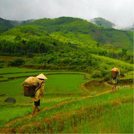 Vietnam