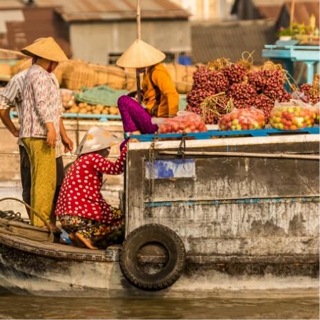 Delta Du Mekong, Vietnam